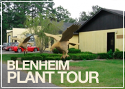 planttour